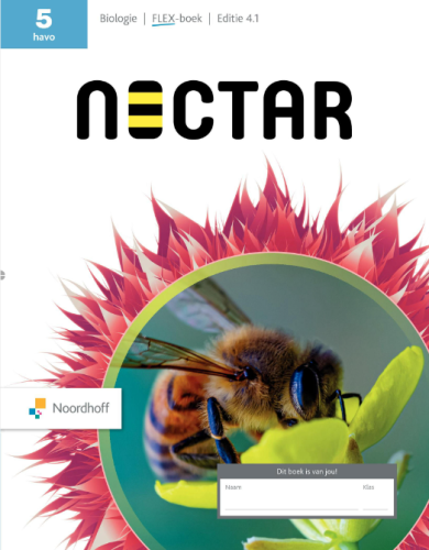 Nectar 4.1 FLEX