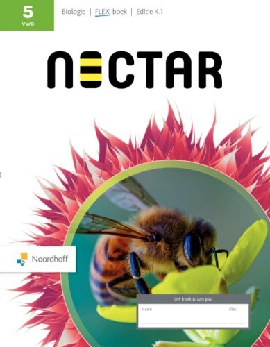 Nectar 4.1 FLEX