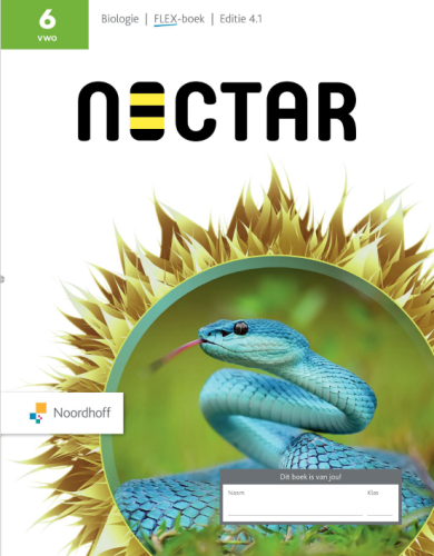 Nectar 4.1 FLEX