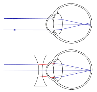 Schermafbeelding 2025 12 31 122205