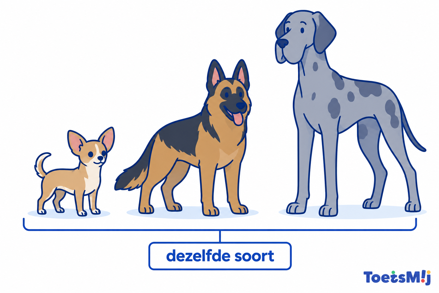 Soorten in de biologie