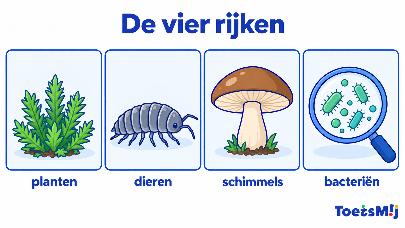 De vier rijken