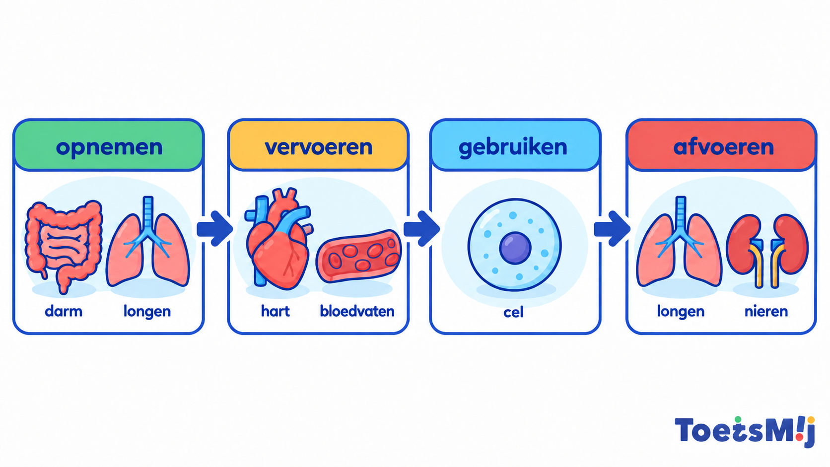 Stofwisseling van organismen