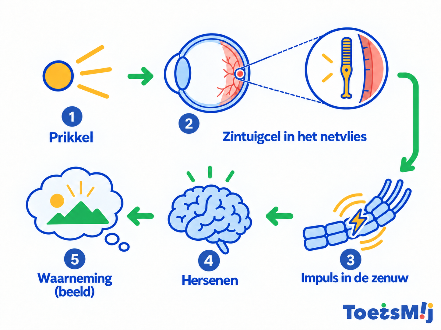 Waarneming in de biologie