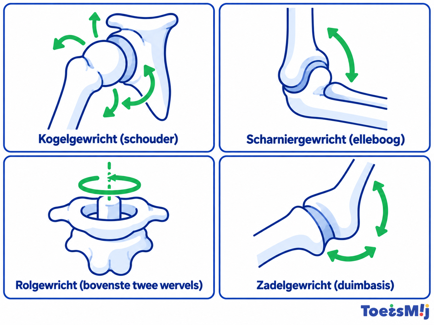 Soorten gewrichten