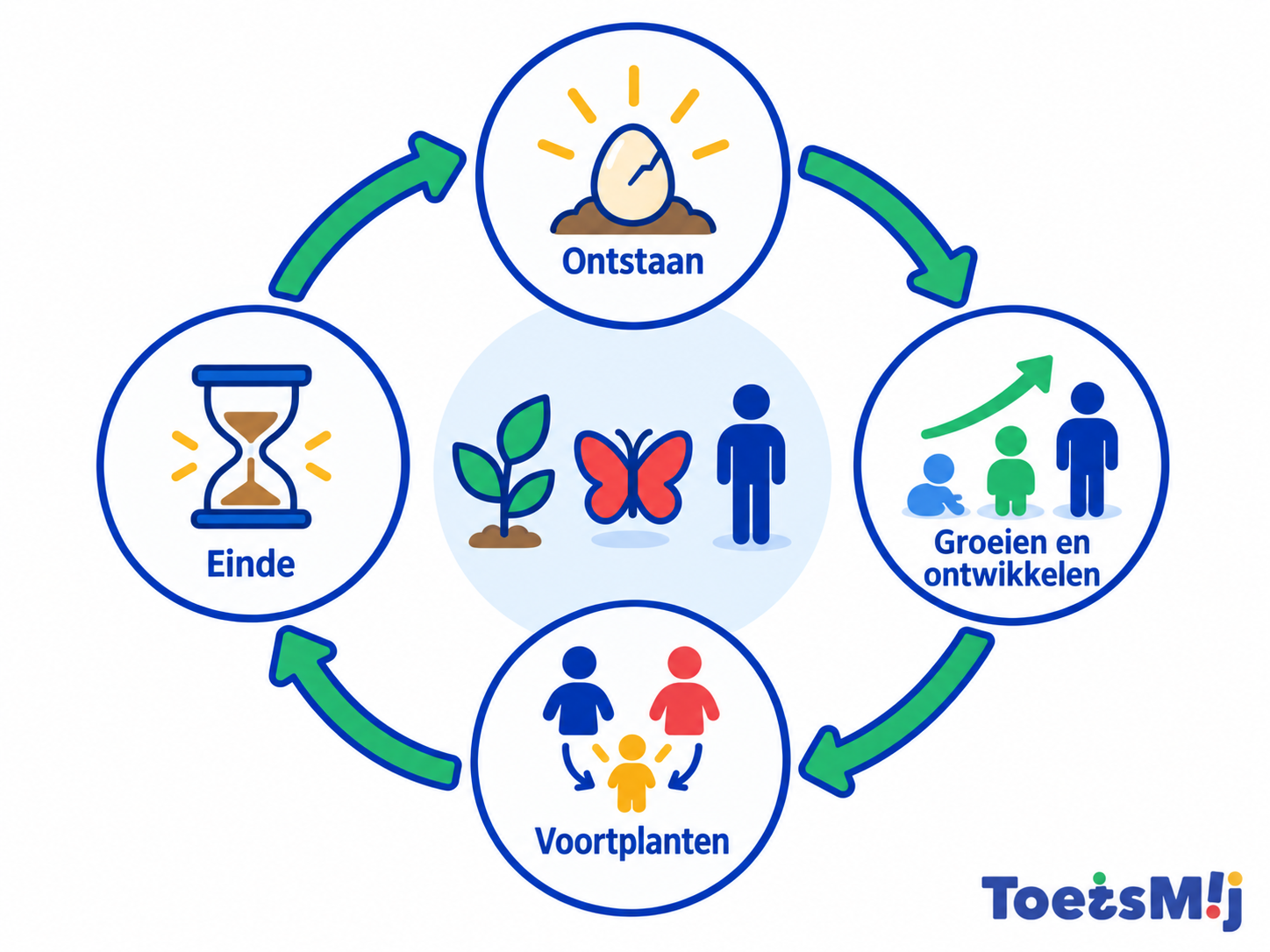 Levenscyclus in de biologie