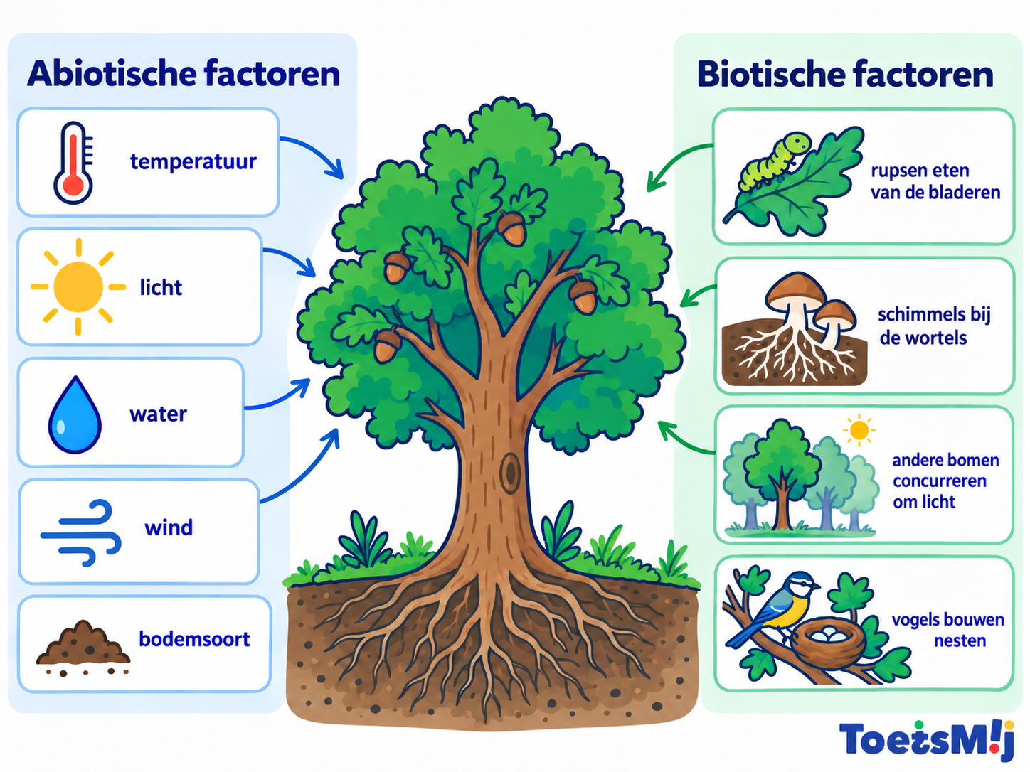 Biotische factoren en abiotische factoren