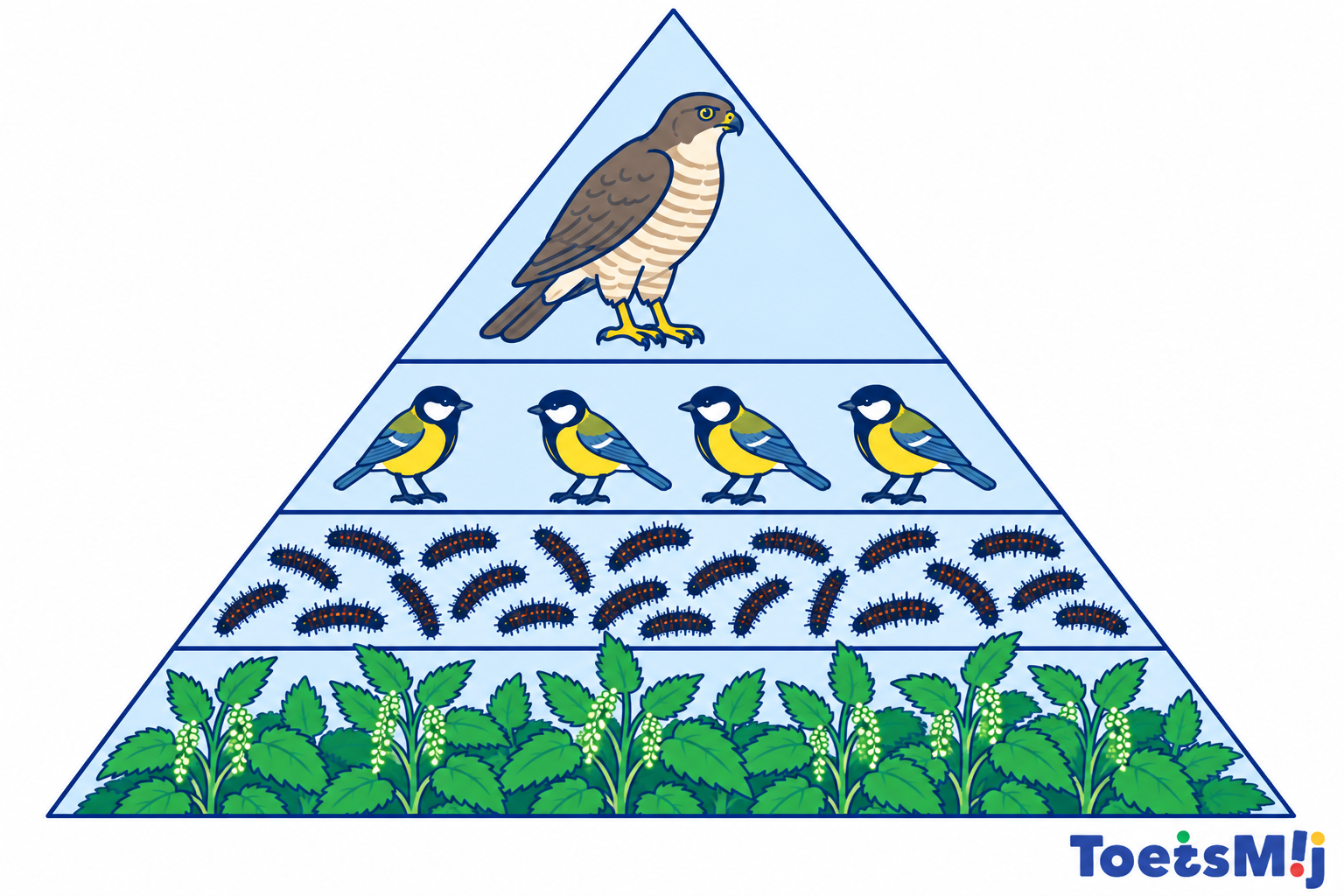 Voedselpiramide